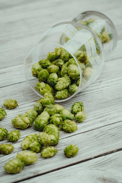 Discover THC Infused Hop Water